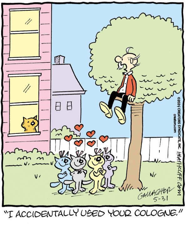 Heathcliff for May 31, 2024