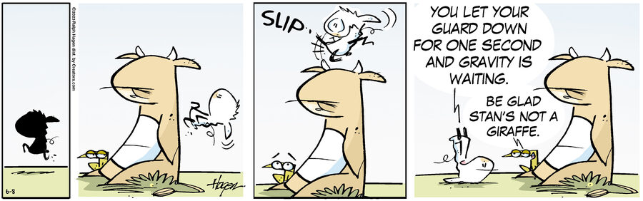 The Barn for Jun 08, 2023