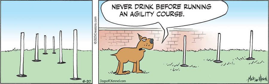 Dogs of C-Kennel for Jun 20, 2023