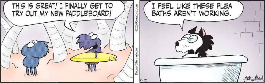 Dogs of C-Kennel for Jun 21, 2024