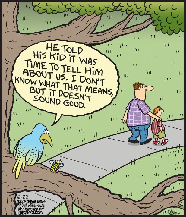 Free Range for Jun 22, 2024