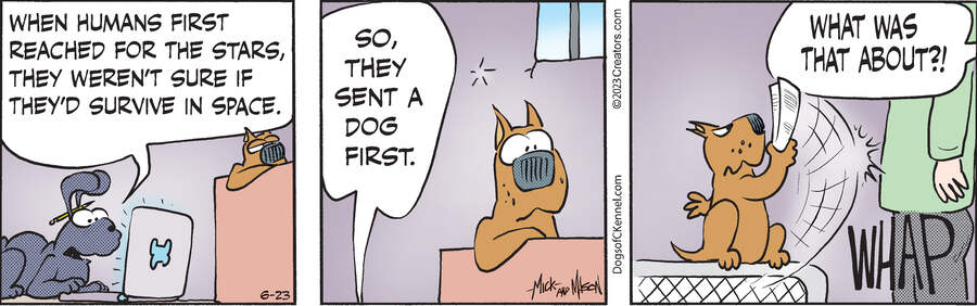Dogs of C-Kennel for Jun 23, 2023