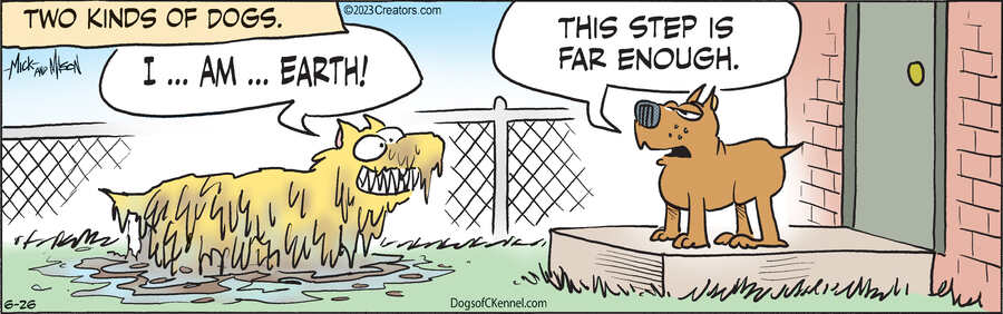 Dogs of C-Kennel for Jun 26, 2023