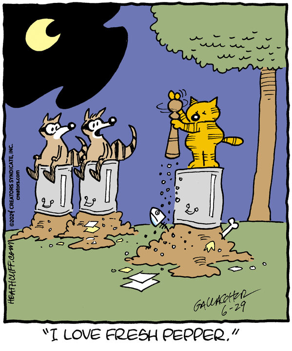 Heathcliff for Jun 29, 2024