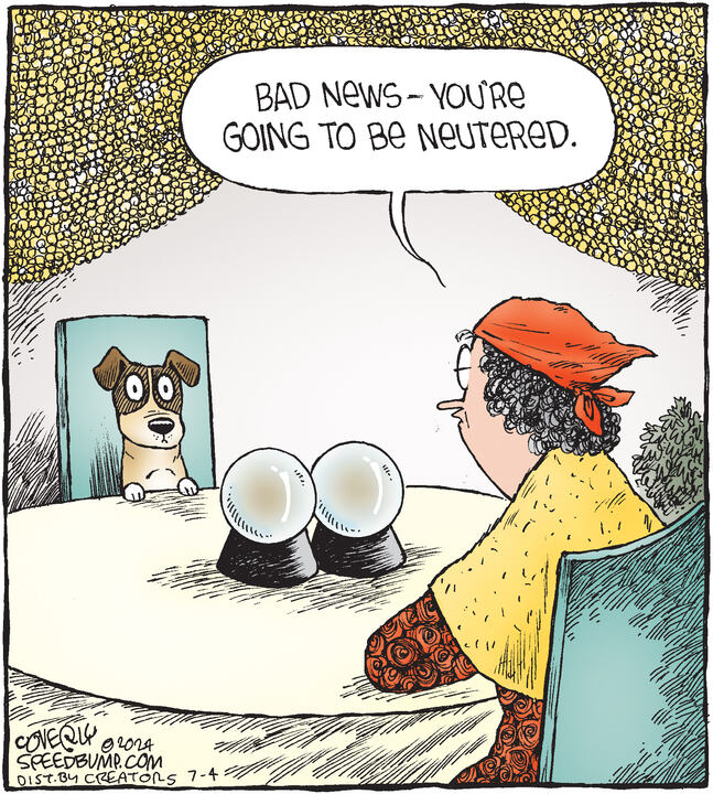 Speed Bump for Jul 04, 2024