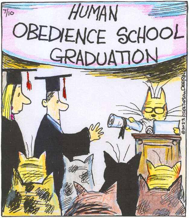 Strange Brew for Jul 10, 2023