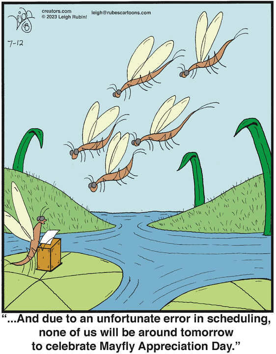 Rubes® for Jul 12, 2023