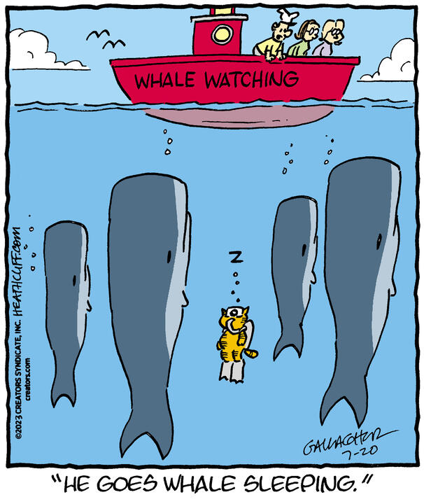 Heathcliff for Jul 20, 2023