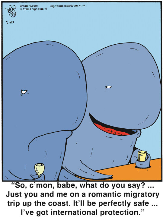 Rubes® for Jul 20, 2024