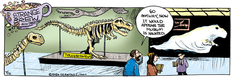 Strange Brew for Jul 21, 2024