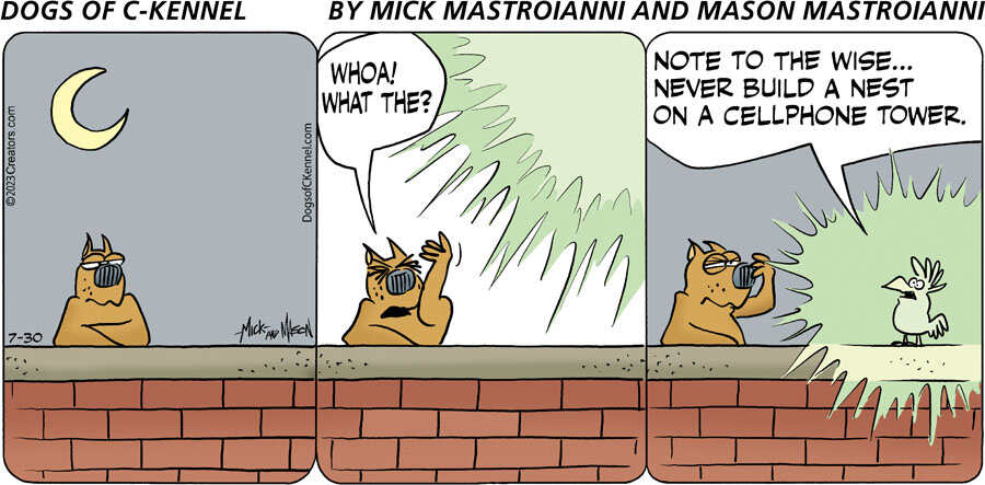 Dogs of C-Kennel for Jul 30, 2023