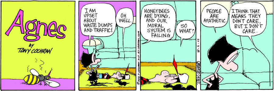 Agnes for Aug 06, 2023