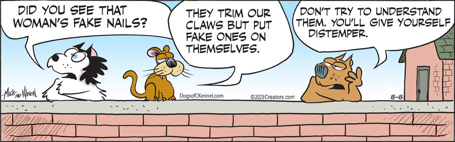 Dogs of C-Kennel for Aug 08, 2023