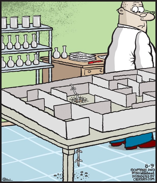 Free Range for Aug 09, 2023