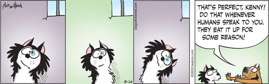 Dogs of C-Kennel for Aug 14, 2023