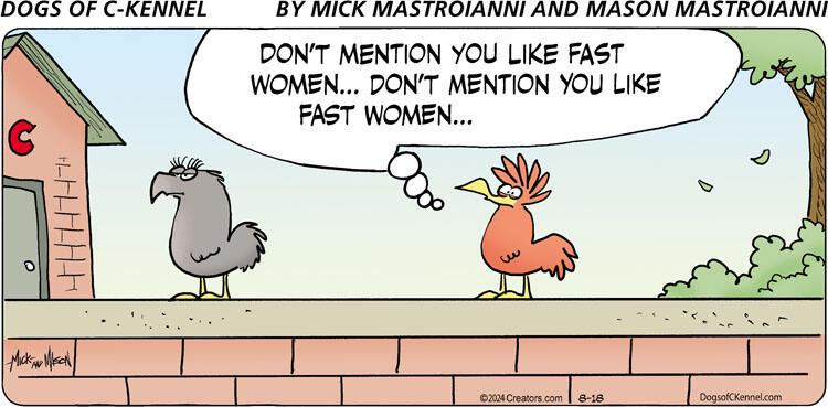 Dogs of C-Kennel for Aug 18, 2024