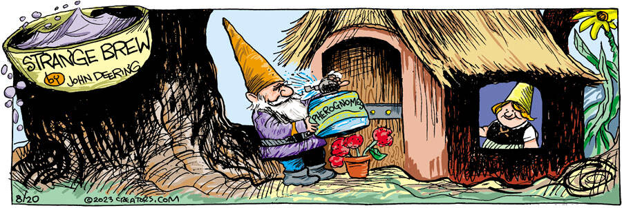 Strange Brew for Aug 20, 2023