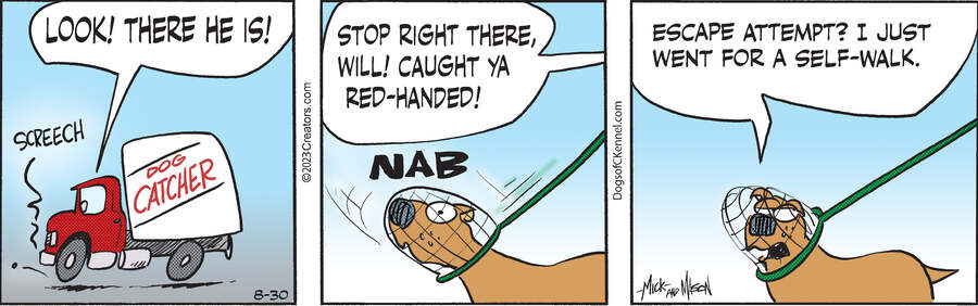 Dogs of C-Kennel for Aug 30, 2023