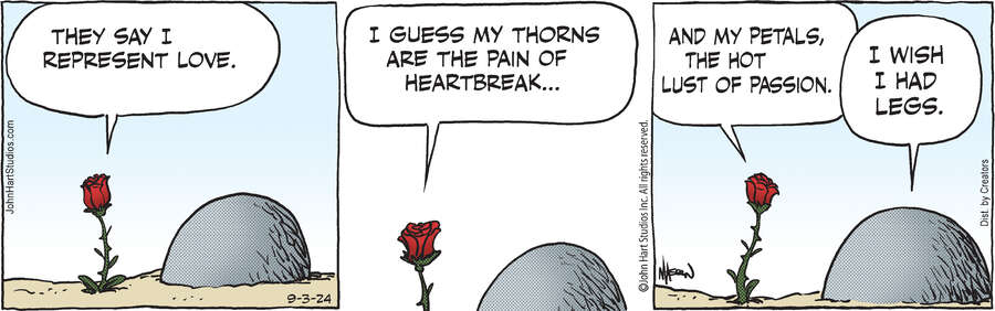 B.C. for Sep 03, 2024