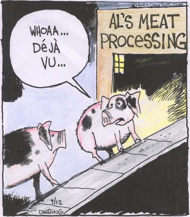 Strange Brew for Sep 12, 2024