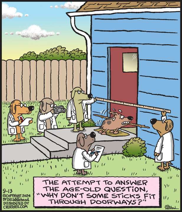 Free Range for Sep 13, 2024