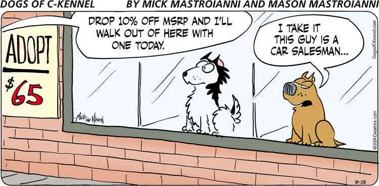 Dogs of C-Kennel for Sep 15, 2024