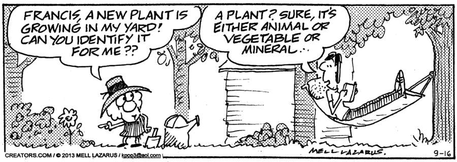 Momma for Sep 16, 2024