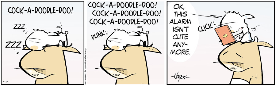 The Barn for Sep 17, 2024