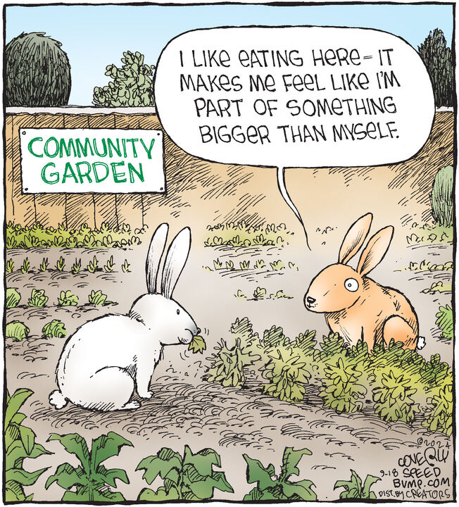 Speed Bump for Sep 18, 2024