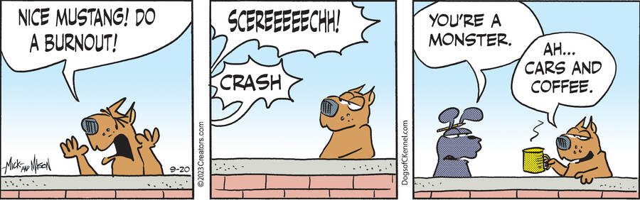 Dogs of C-Kennel for Sep 20, 2023