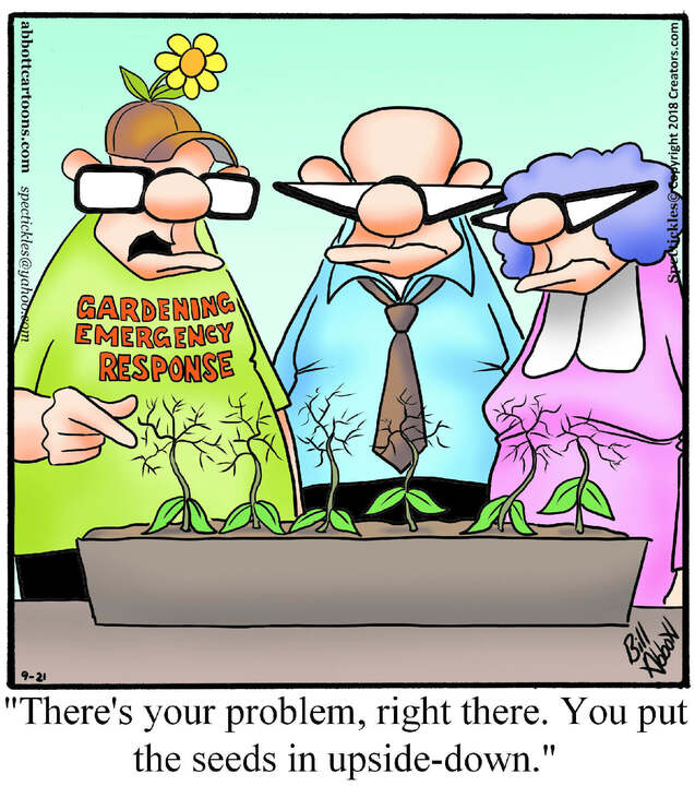 Spectickles for Sep 21, 2024