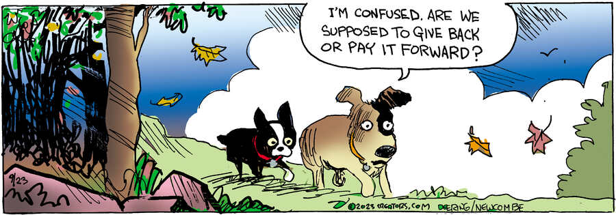 Zack Hill for Sep 23, 2023