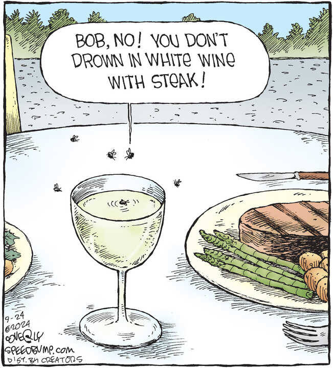 Speed Bump for Sep 24, 2024