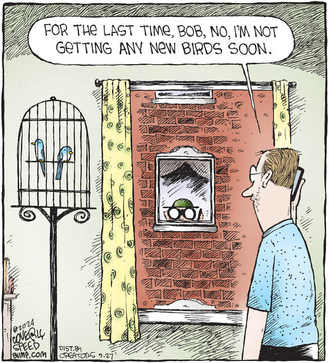 Speed Bump for Sep 27, 2024