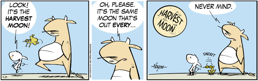 The Barn for Sep 29, 2023