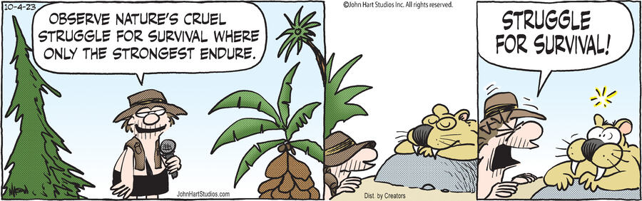 B.C. for Oct 04, 2023