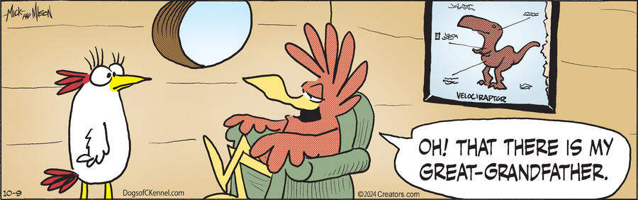 Dogs of C-Kennel for Oct 09, 2024