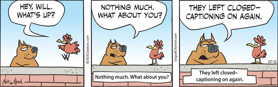 Dogs of C-Kennel for Oct 11, 2023