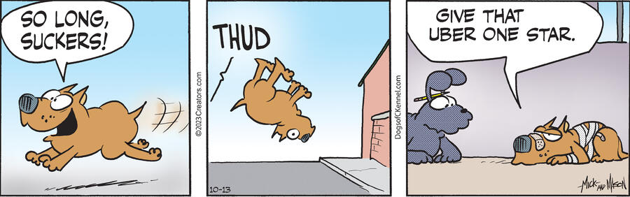 Dogs of C-Kennel for Oct 13, 2023