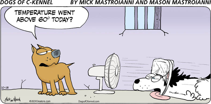 Dogs of C-Kennel for Oct 15, 2023