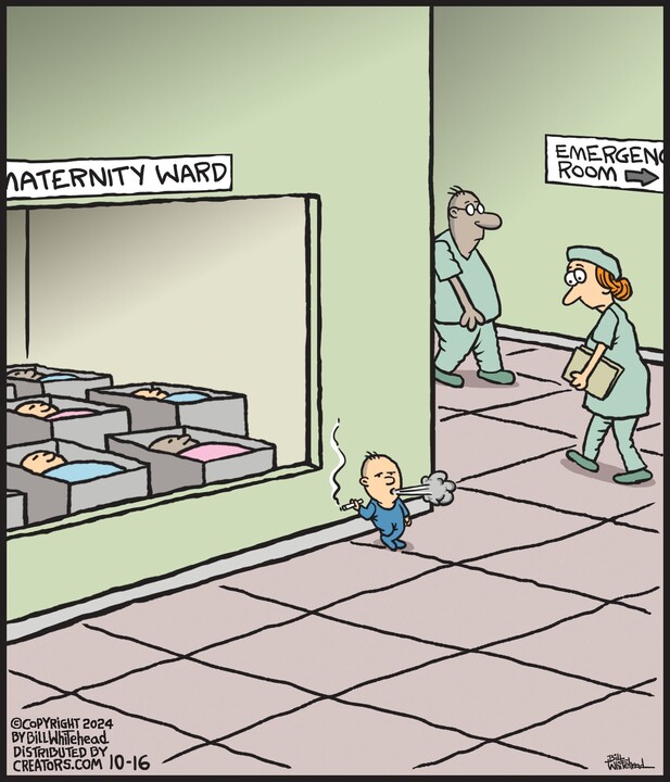 Free Range for Oct 16, 2024