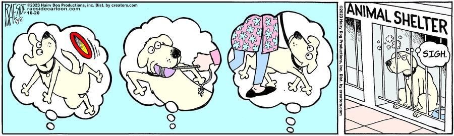 The Other Coast for Oct 20, 2023