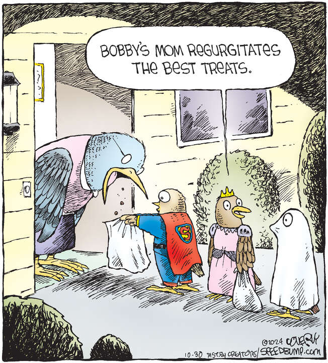 Speed Bump for Oct 30, 2024