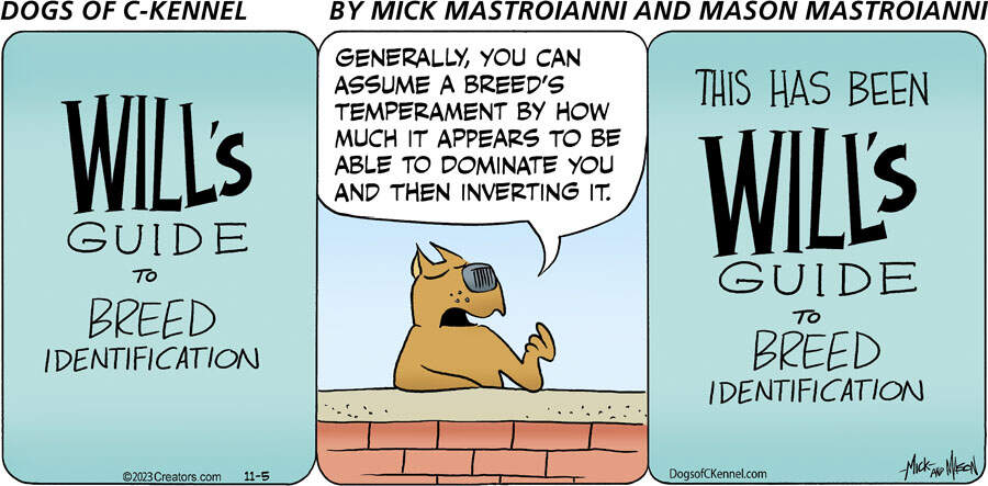 Dogs of C-Kennel for Nov 05, 2023