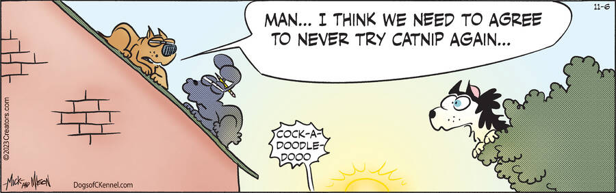 Dogs of C-Kennel for Nov 06, 2023