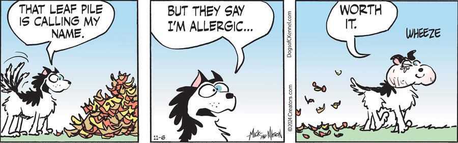 Dogs of C-Kennel for Nov 06, 2024