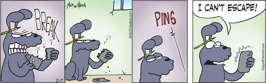 Dogs of C-Kennel for Nov 07, 2023