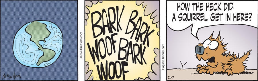 Dogs of C-Kennel for Nov 07, 2024