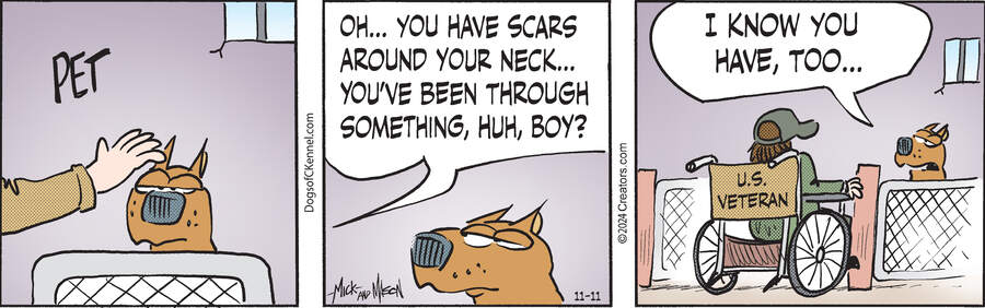 Dogs of C-Kennel for Nov 11, 2024