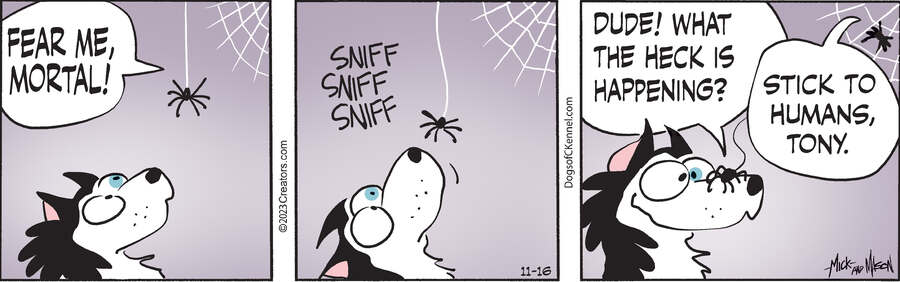 Dogs of C-Kennel for Nov 16, 2023